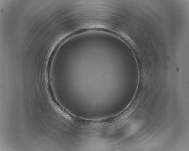 X0000075900840200609151409