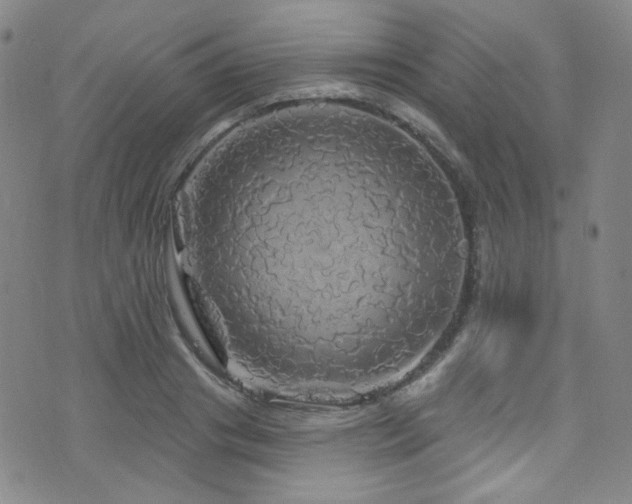 X0000075900841200609151409