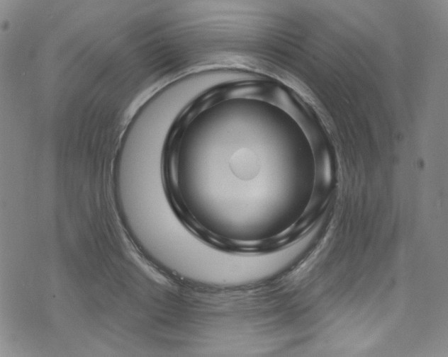 X0000075900842200609151409