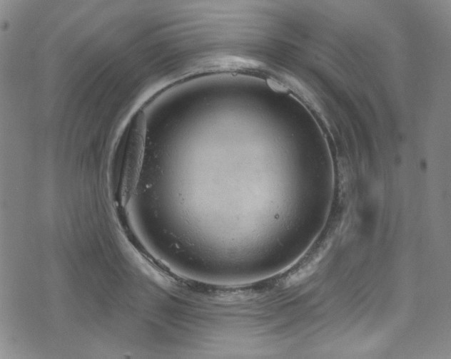 X0000075900843200609151409