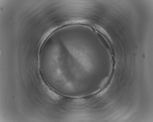 X0000075900844200609151409