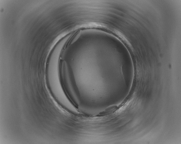 X0000075900845200609151409