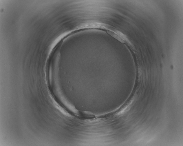 X0000075900846200609151409