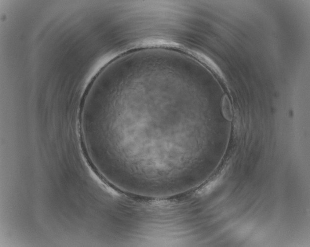 X0000075900847200609151409