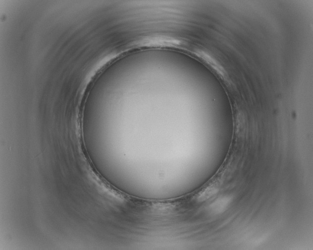 X0000075900848200609151409