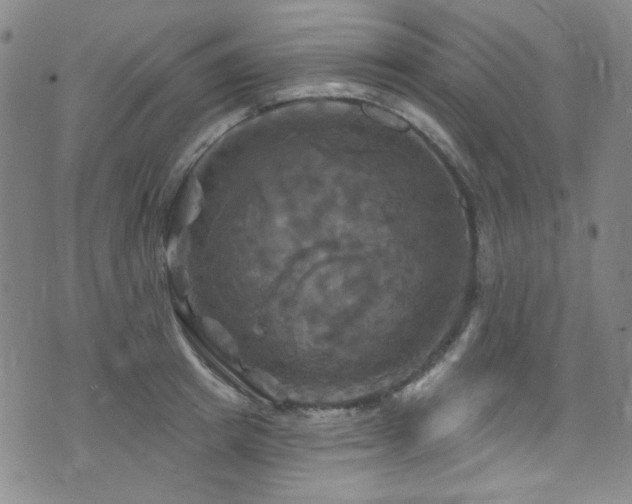 X0000075900849200609151409