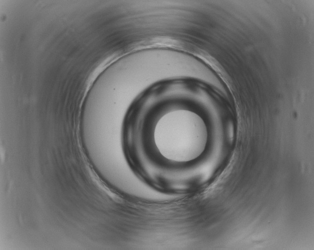 X0000075900850200609151409