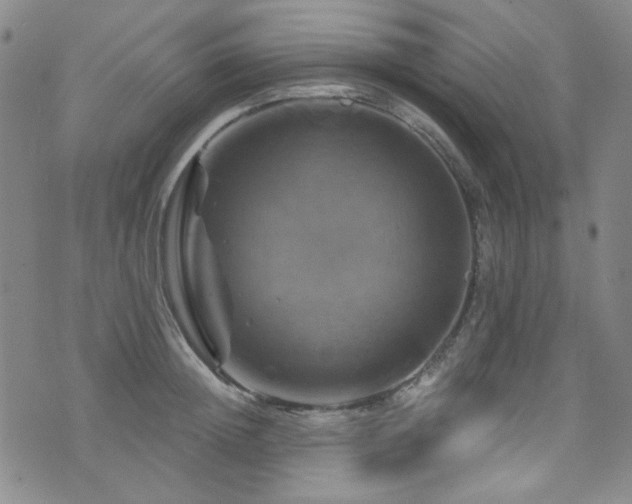 X0000075900852200609151409