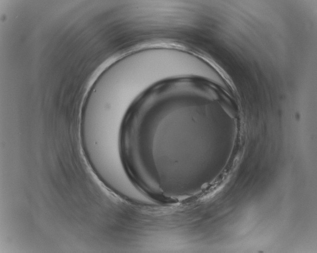 X0000075900853200609151409