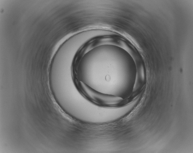 X0000075900854200609151409