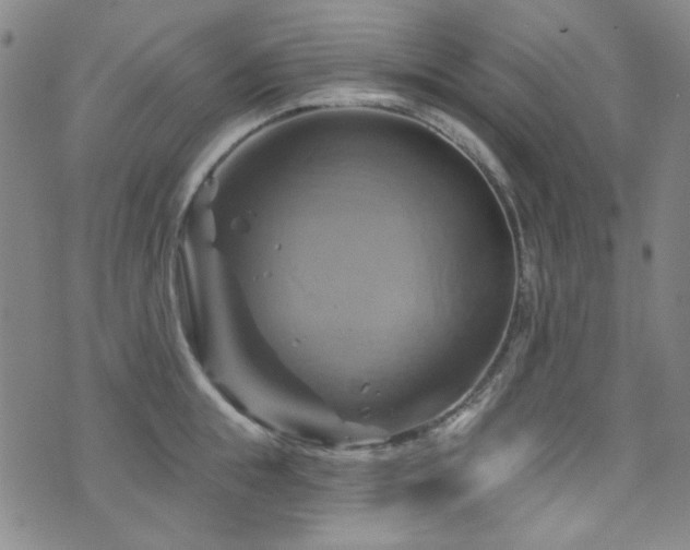 X0000075900855200609151410