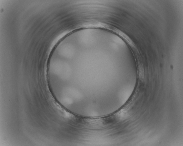 X0000075900856200609151410