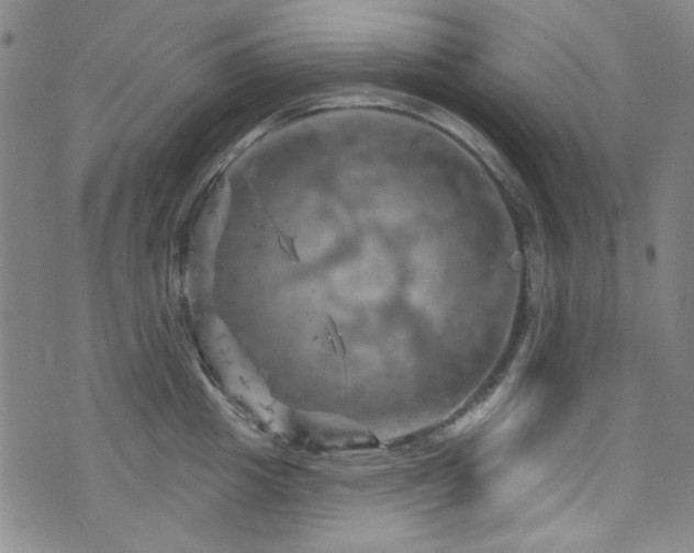 X0000075900857200609151410