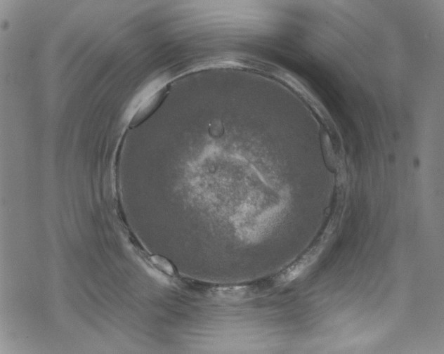 X0000075900858200609151410