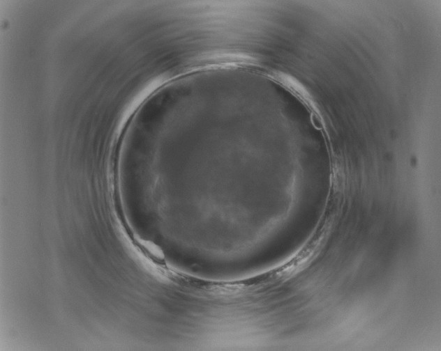 X0000075900859200609151410