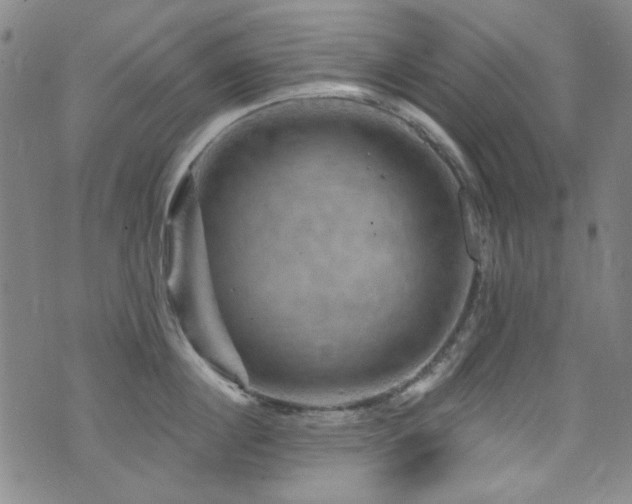 X0000075900860200609151410