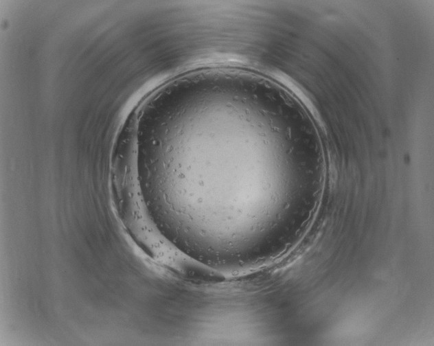 X0000075900861200609151410