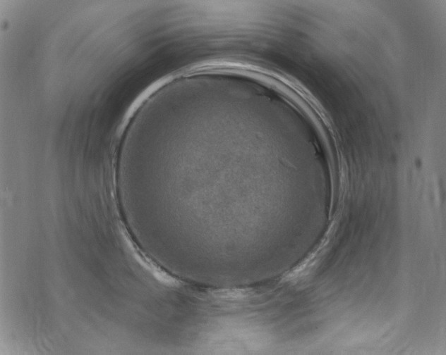 X0000075900862200609151410