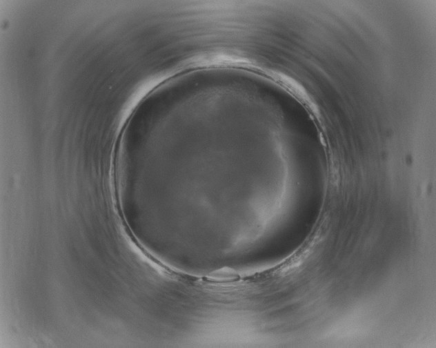 X0000075900863200609151410