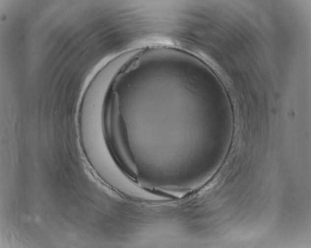 X0000075900864200609151410