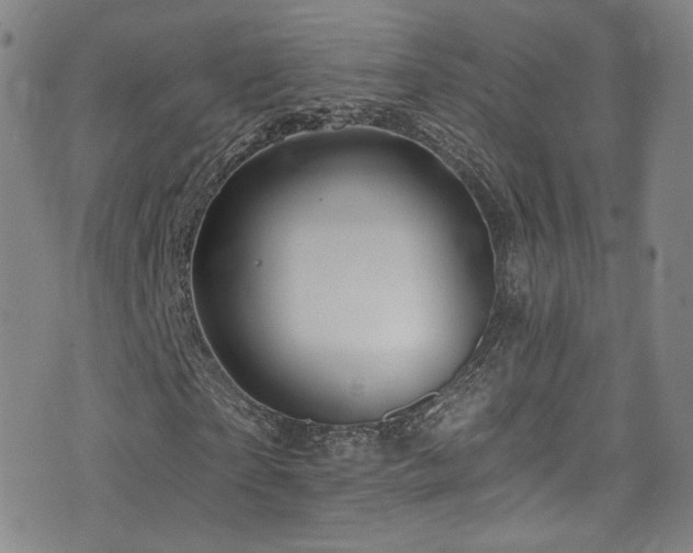 X0000075900865200609151409