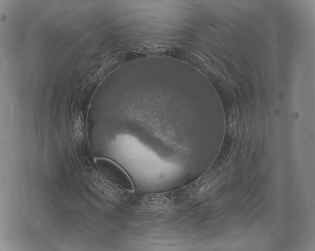 X0000075900866200609151409