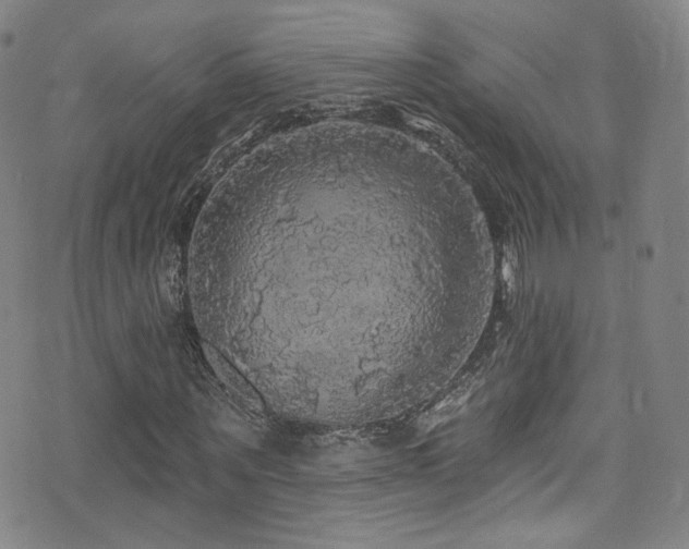 X0000075900867200609151409