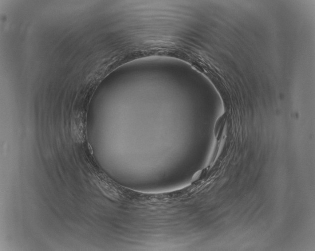 X0000075900868200609151409