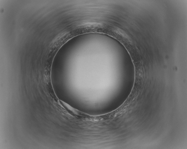 X0000075900869200609151409