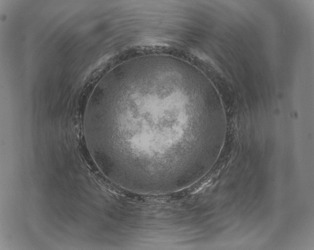 X0000075900870200609151409