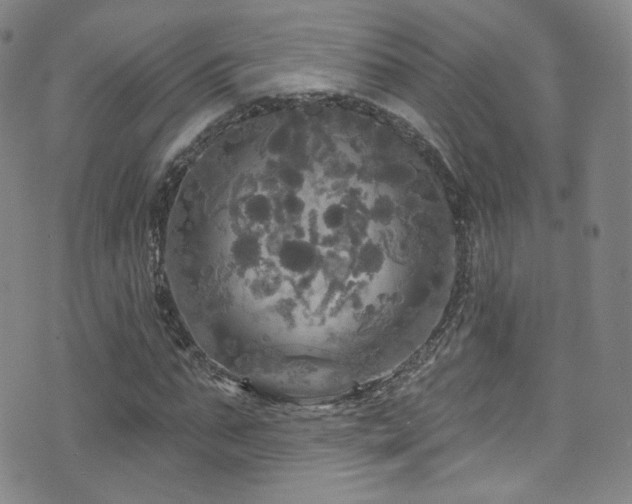 X0000075900871200609151409