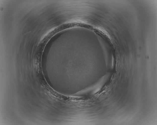 X0000075900872200609151409