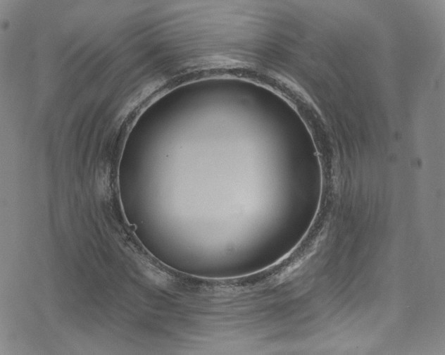 X0000075900873200609151409