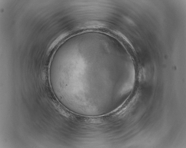 X0000075900874200609151409