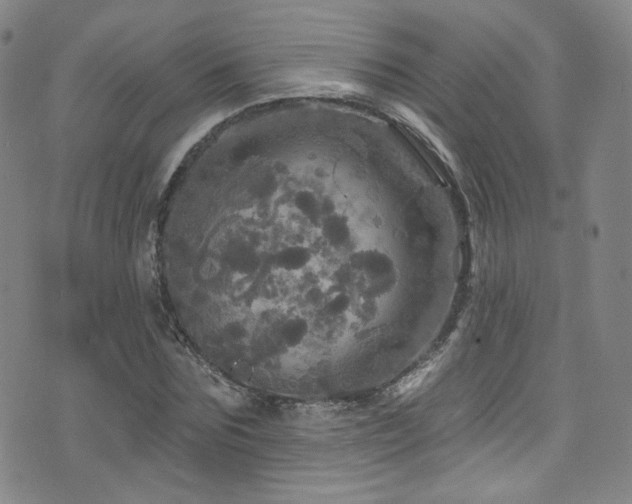 X0000075900875200609151409