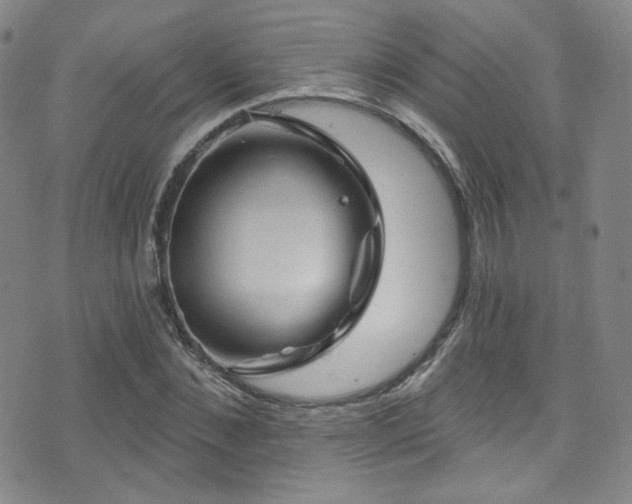 X0000075900876200609151409