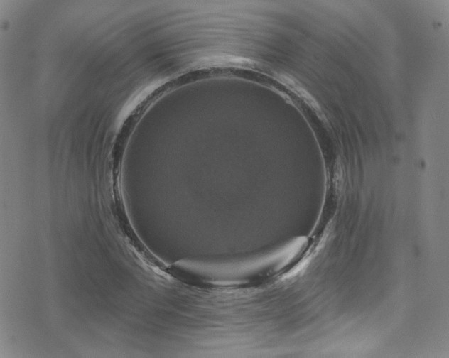 X0000075900877200609151409