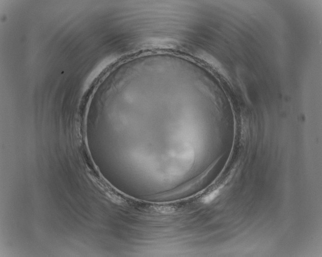 X0000075900878200609151409