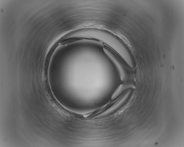 X0000075900880200609151409