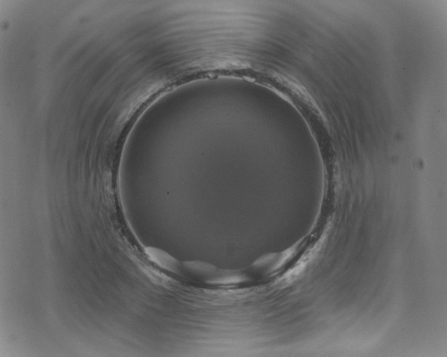 X0000075900881200609151409