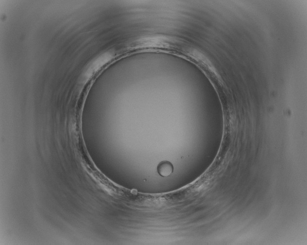 X0000075900882200609151408