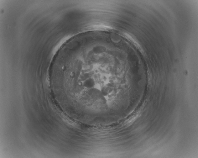 X0000075900883200609151408