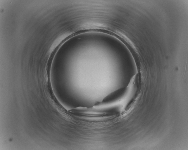 X0000075900885200609151408