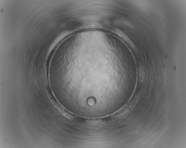 X0000075900886200609151408