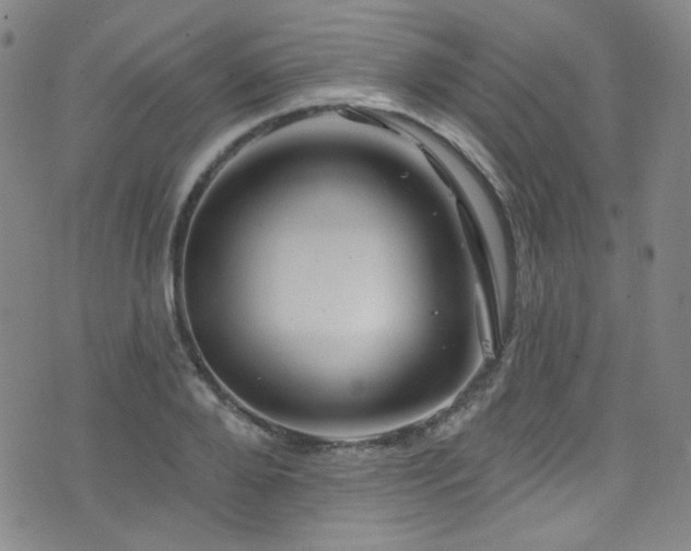 X0000075900888200609151408