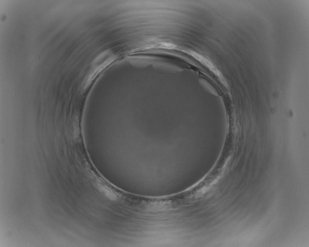 X0000075900889200609151408