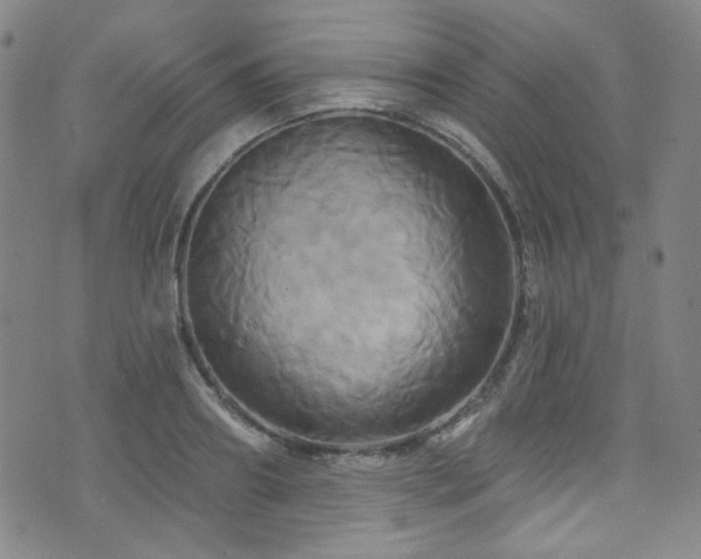 X0000075900890200609151408