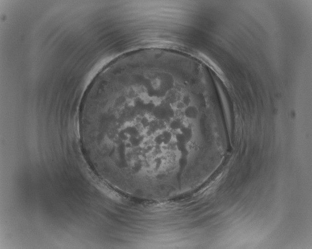 X0000075900891200609151408