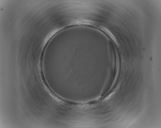 X0000075900893200609151408