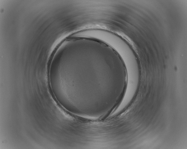 X0000075900894200609151408